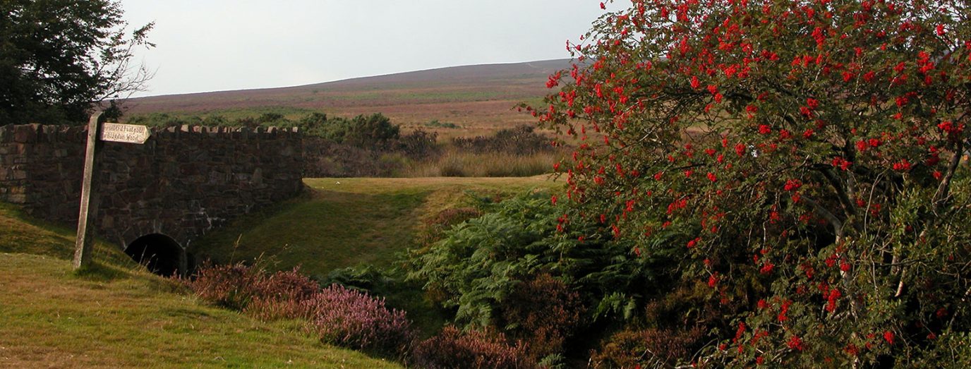 Banner Exmoor