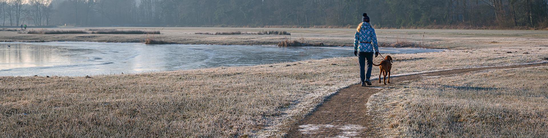 manage-your-mental-health-this-winter