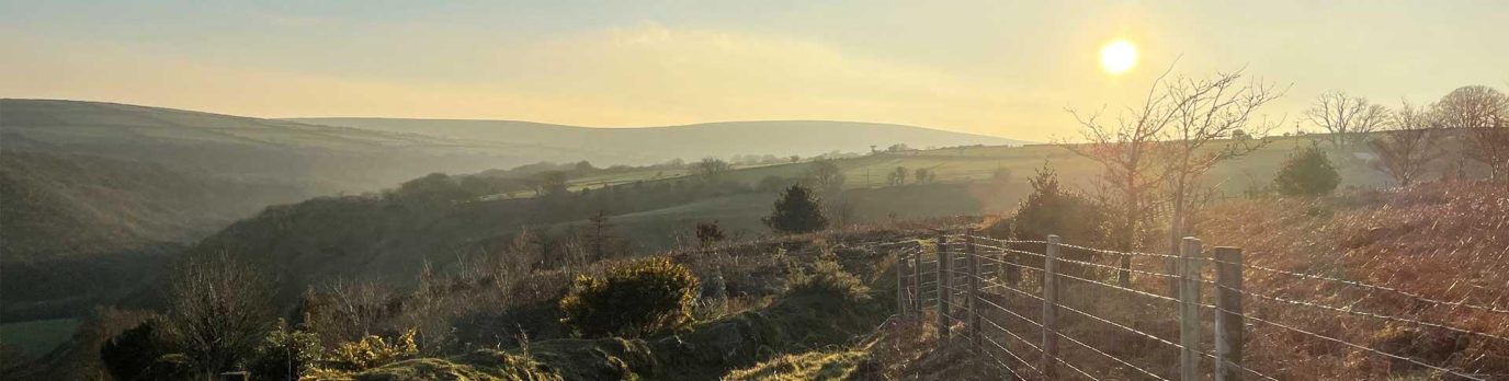 Banner image for OS Wallpaper Download: February 2024 banner image