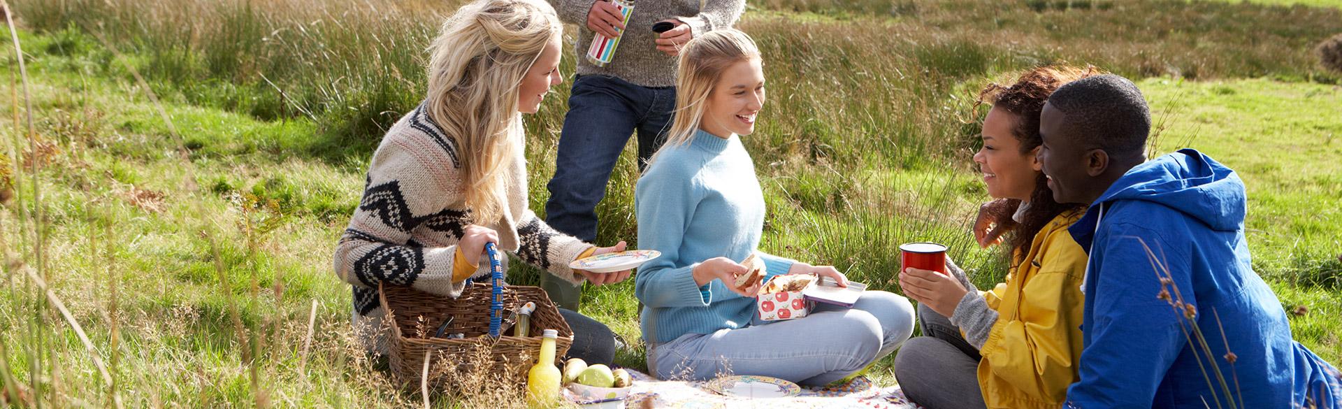 perfect_picnic_hero.d635ad0f1f03d16ac80ae9884a3c9df0